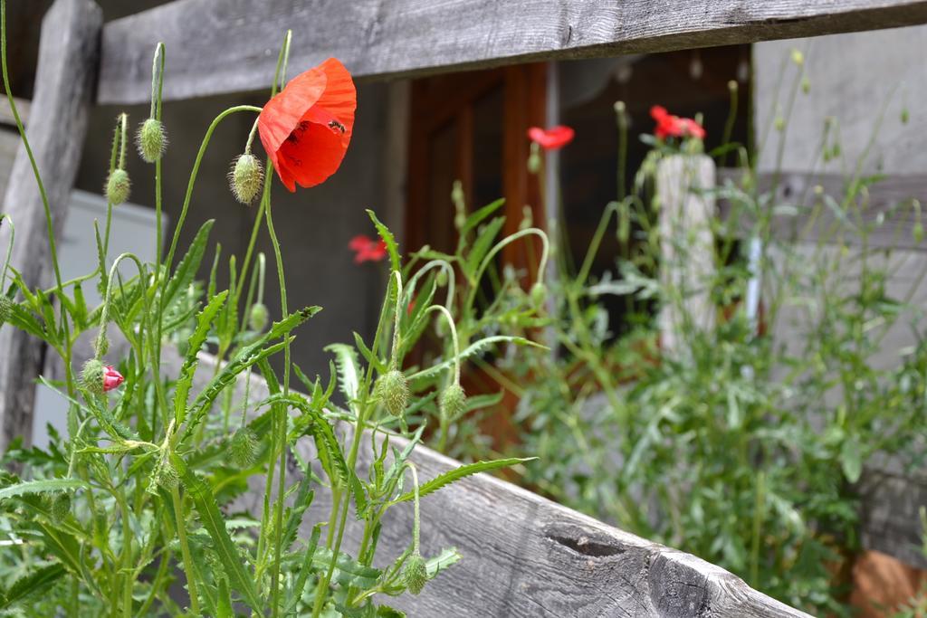 Holiday Farmhouse Skvor Robidisce Exterior foto
