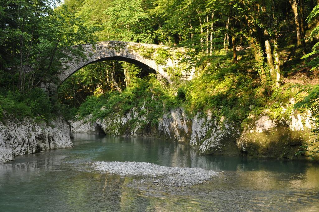 Holiday Farmhouse Skvor Robidisce Quarto foto